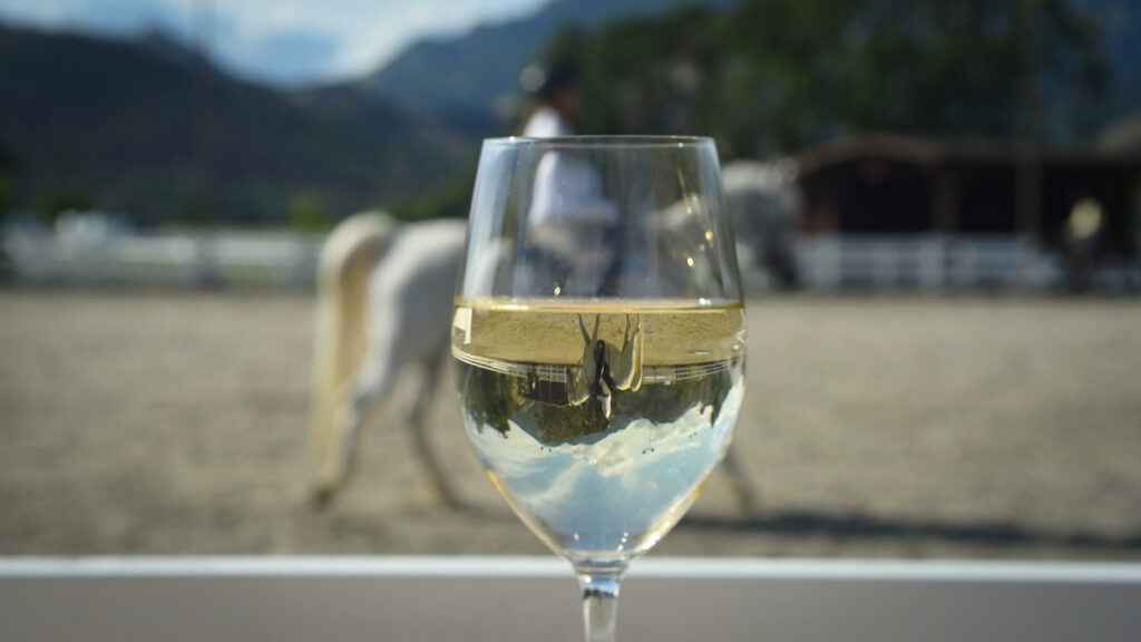 Wine glass with reflection of horse